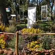 Kings Park wildflower show
