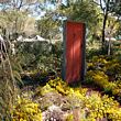 Kings Park wildflower show