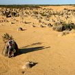 Pinnacles National Park