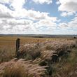 Port Gregory Road