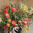 cranbrook wildflower show