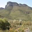 bluff knoll