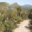 bluff knoll
