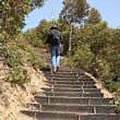 bluff knoll