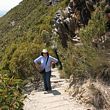 bluff knoll