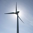 albany wind farm 