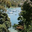 manly harbor