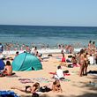 manly beach